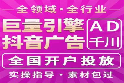 案例对比：不同竞价广告平台的优劣